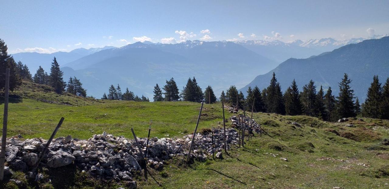 Ferienwohnungen Hochzillertal 칼텐바흐 외부 사진
