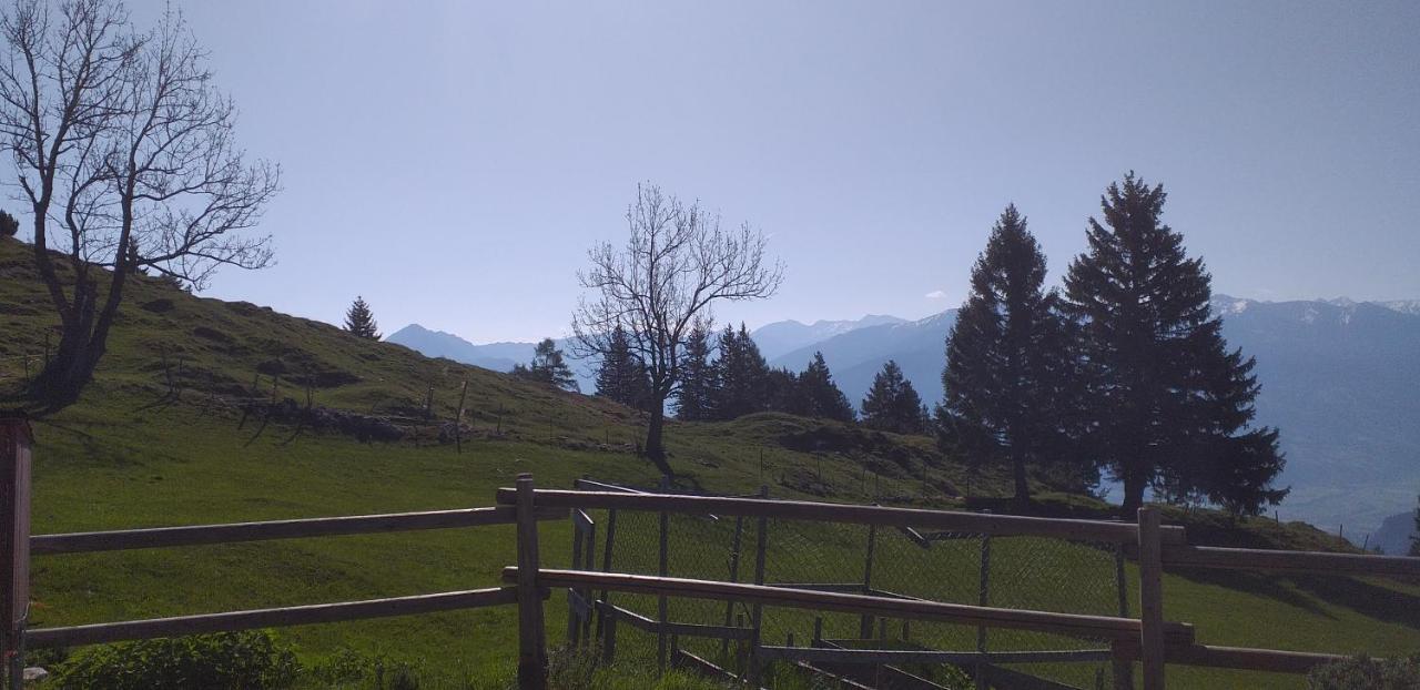 Ferienwohnungen Hochzillertal 칼텐바흐 외부 사진