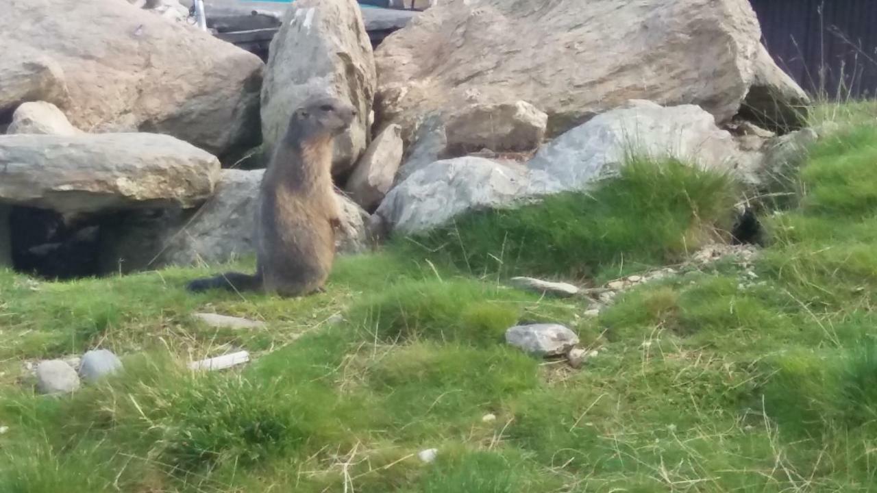 Ferienwohnungen Hochzillertal 칼텐바흐 외부 사진
